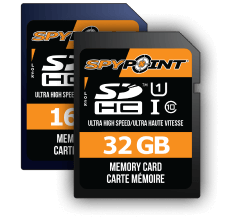 Memory SD Card