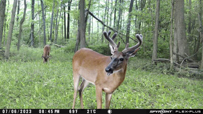 picture take by the FLEX-PLUS camera