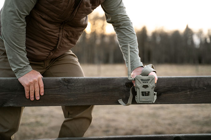 Wildlife cameras - Secure Your Land & Property and Observe Backyard Wildlife