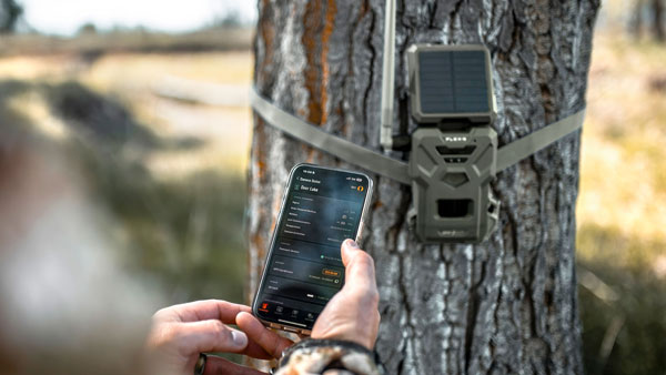 Wildlife cameras