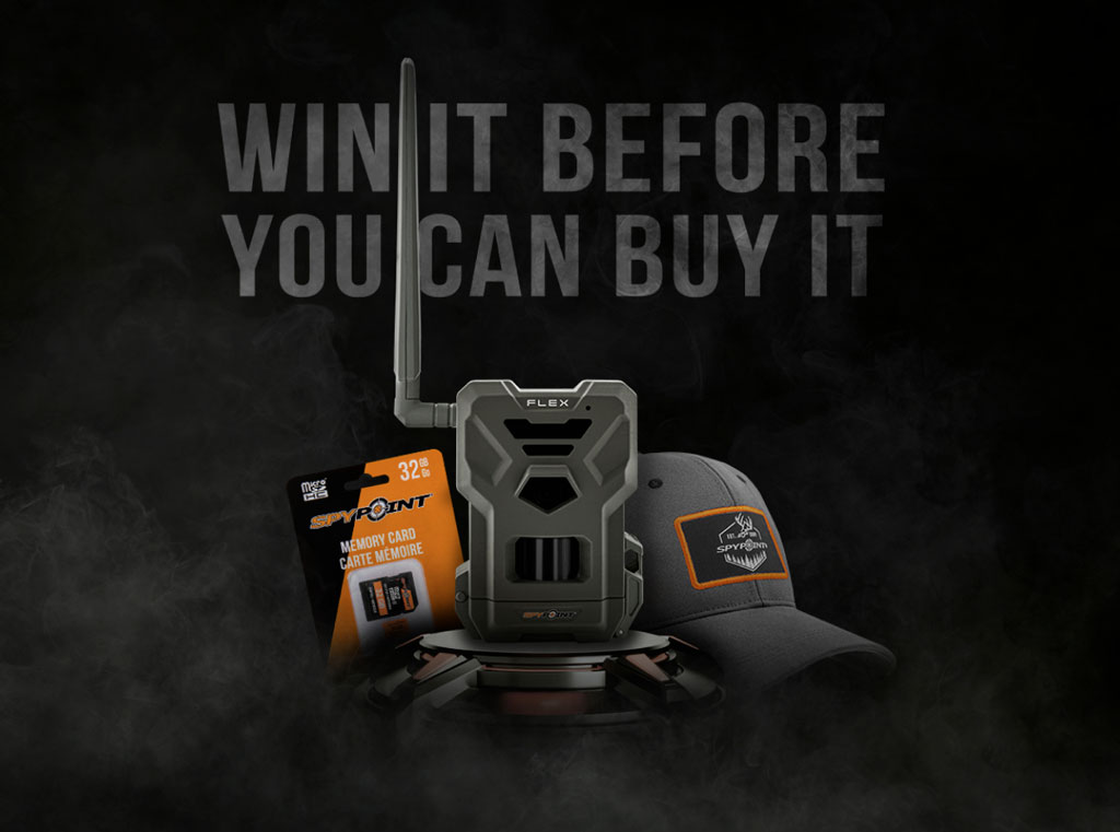 giveaways.h1-1 giveaways.h1-2