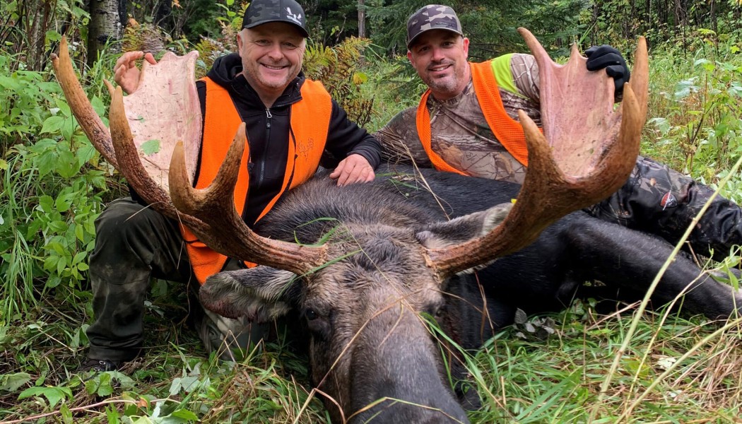 Les transitions, pourquoi les chasser