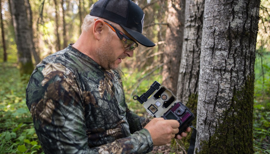 Les caméras de chasse, un outil de recherche indispensable
