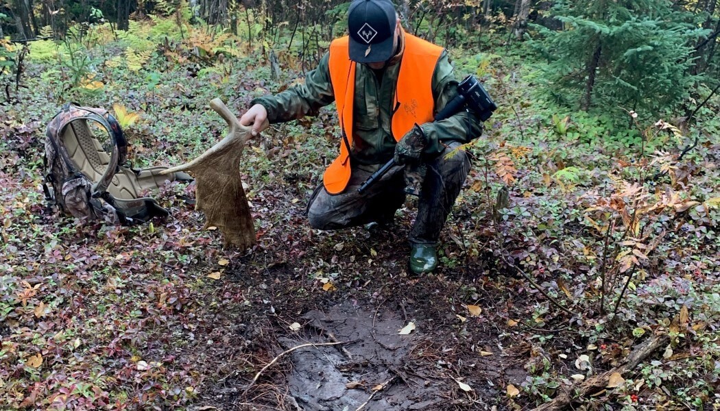 Chasseur d’orignal, placez vos caméras ailleurs.