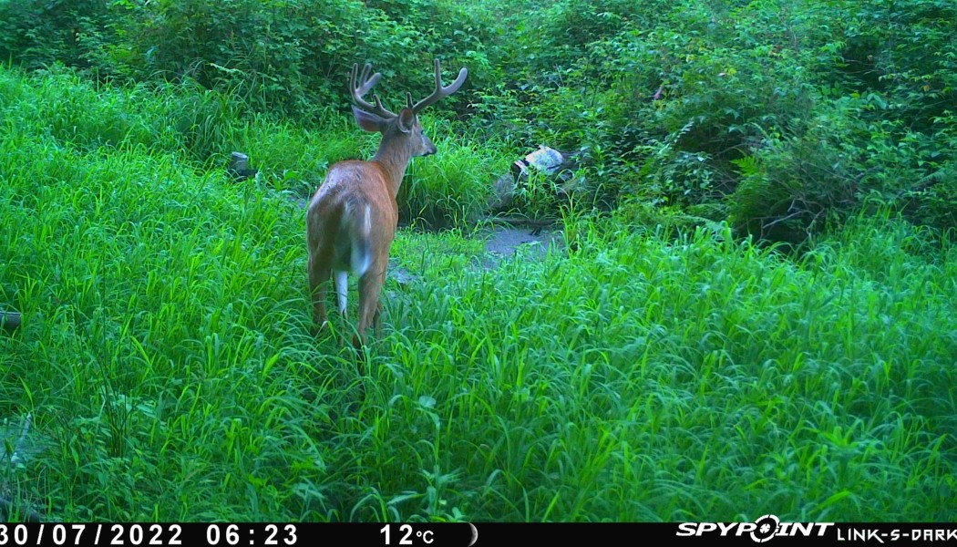 Pourquoi choisir la caméra LM2