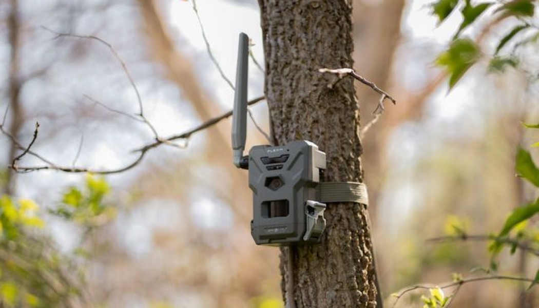 Liste de vérification pour l'entretien des caméras de chasse