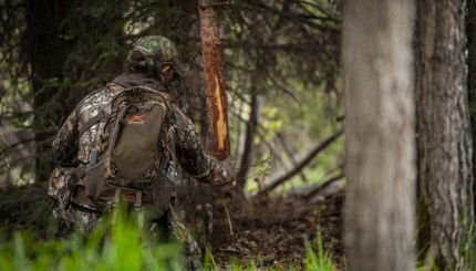 How to Determine Peak Rut Dates Where You Hunt