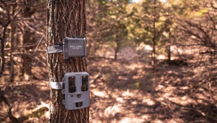 The SPYPOINT CELL-LINK Can Make Your Non-Cellular Trail Camera a Cellular Device