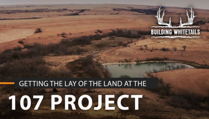 Introducing The 107 Project | Building Whitetails