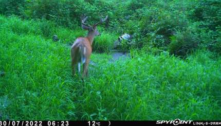 Pourquoi choisir la caméra LM2