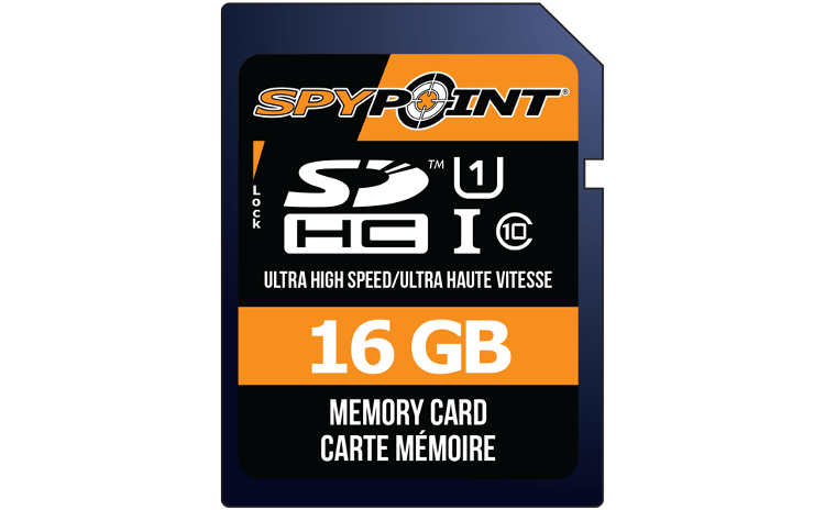 Carte SD 16Go
